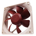 Noctua NF-R8 Quiet Computer Fan 80mm