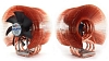 Zalman CNPS9500 AT Ultra Quiet High Performance Copper CPU Cooler 