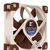 Noctua NF-A8 PWM Quiet Computer Fan 80mm